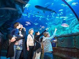 Lido di Jesolo Sea Life Aquarium